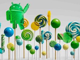 Android Lollipop Forest